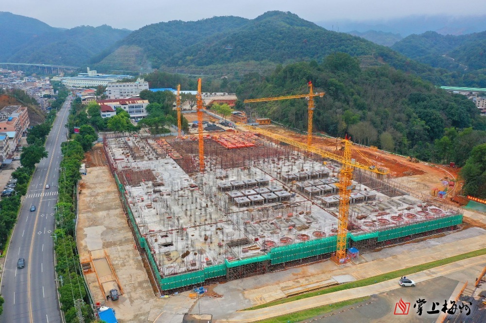 “新春走基层·企业行”全媒体采风团走进米兰体育科技